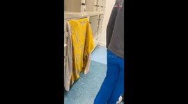 Aggressive cat turns out to be a friend's prank, leaving vet in laughter