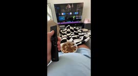 Cat Zooms Through Cereal Bowl