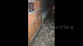 US: Hurricane Francine Batters Louisiana With Heavy Rain And Wind 11