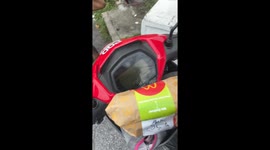 Hungry cow blocks motorcycle rider to demand food