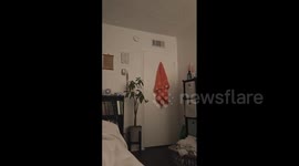 US: M4.7 Earthquake Hits Coastal Area Near Los Angeles, California