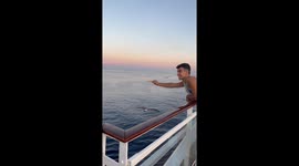 Teasing seagulls during cruise prank leads to 4 million views