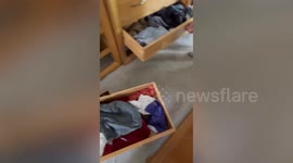 Rat catcher says woman found creature was hiding inside toilet while she was on it