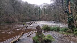 Flooding of the River Plym heading down of Dartmoor National Park