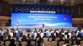 China, Caribbean countries call for cooperation in emerging sectors