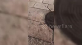 Israel: Israel Police killed a Man after he carried a stabbing attack in Jerusalem