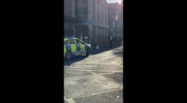 Dublin Police Escort Swan Through the City