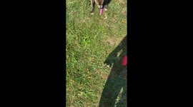 Its not her bark…its her knife
