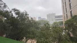 Typhoon Bebinca in Shanghai - Heavy Winds