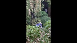 Woman battles to stay upright on scooter as Typhoon Bebinca batters Shanghai