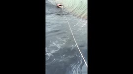 Men rescue puppy from reservoir using bucket