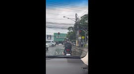 Kitten snuggles in motorcycle rider's hoodie