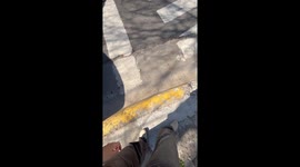 Person walks pig pet on leash in Buenos Aires, Argentina