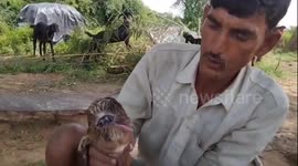 Rare 'cyclops' goat stuns villagers in India