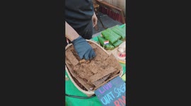 Live Ulat Sagu (maggot) Sell in street food stall at Borneo Malaysia
