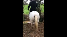 Confident rider faces unexpected splashdown after horse fails to clear a ditch