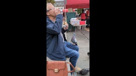 Man makes the mistake of feeding pigeons with food in his hands