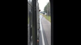 Horse Enjoys Some Fresh Air While on the Road