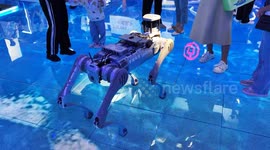 China: Robot Performance at 2024 CIFTIS in Beijing