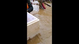 Baby floated to safety in polystyrene box during Thailand floods