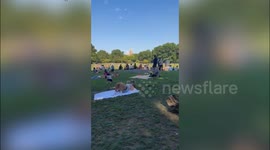P Diddy sunbathing in Central Park hours before arrest
