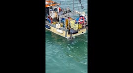 Heartwarming moment: Seal enjoys a fisherman’s care and feeding