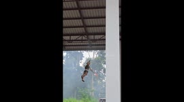 Watch this elebaorte Thai funeral with Catherine wheels and ziplining puppets