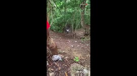 New BMX bike rider's attempt at a steep slope ends in a dramatic fall