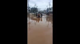 Three dogs rescued from flooded area in Thailand reunited with owners