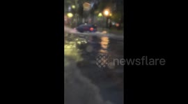 Mexico: Torrential Rains Hit CDMX, Leading To Flooding And Fallen Trees