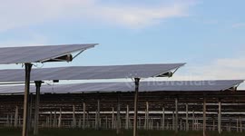 China's green energy projects in Africa a boon for South-South cooperation: Egyptian expert
