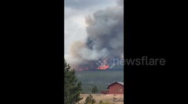 US: Pearl Fire Burns Near Red Feather Lakes, Colorado Prompting Evacuation