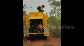 Bolivia: Forest fires ravage protected areas in eastern Bolivia despite rain