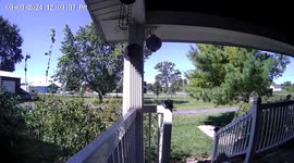 Cheeky groundhog steals package right off homeowner's doorstep