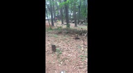 Kid Faceplants on Bike