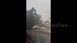 Mexico: Torrential Rains Hit CDMX, Leading To Flooding And Fallen Trees 5