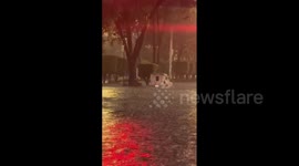Mexico: Torrential Rains Hit CDMX, Leading To Flooding And Fallen Trees 3