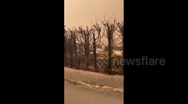 Portugal: Wildfires Rage In Central And Northern Region, Leaving 7 Dead 2