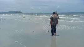 Beached dolphin carried back to the sea by kind locals