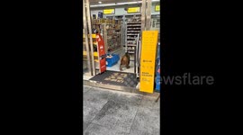 猴子组团大摇大摆走进超市里“打劫”