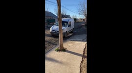 Dog honks car to signal walk in Viedma, Argentina