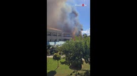 Wildfire near popular Greek resort filmed as helicopters work to control the raging flames