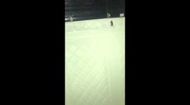 Cockroach in the washroom escapes swiftly after man's failed capture attempt