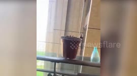 Security guard catches eight-year-old girl after she fell from multi-storey building