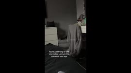 Sleeping Dog Shows Off His Teeth
