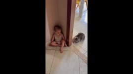 Boy and Cat Play Together