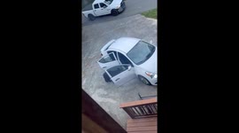 Man attempts to chase bear out from back seat of their car in Tennessee