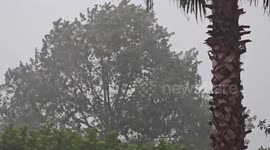 Severe Thunderstorm in Flagler, FL