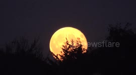 September Supermoon rises over Cannon Park in London