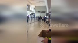 Airport staff have tennis ball party for retiring sniffer dog